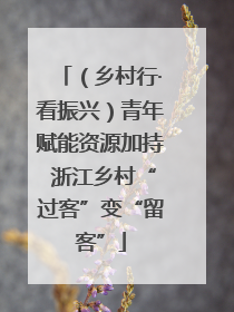 （乡村行·看振兴）青年赋能资源加持 浙江乡村“过客”变“留客”