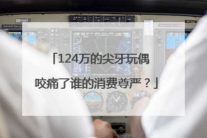 124万的尖牙玩偶 咬痛了谁的消费尊严？