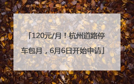120元/月！杭州道路停车包月，6月6日开始申请