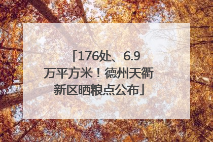 176处、6.9万平方米！德州天衢新区晒粮点公布