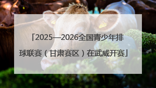 2025—2026全国青少年排球联赛（甘肃赛区）在武威开赛