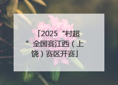 2025“村超”全国赛江西（上饶）赛区开赛