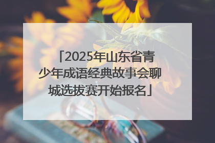 2025年山东省青少年成语经典故事会聊城选拔赛开始报名