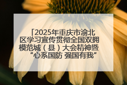 2025年重庆市渝北区学习宣传贯彻全国双拥模范城（县）大会精神暨“心系国防 强国有我”国防教育活动