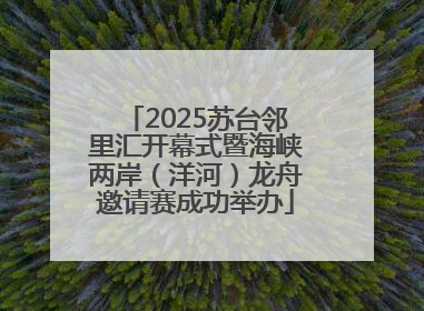 2025苏台邻里汇开幕式暨海峡两岸（洋河）龙舟邀请赛成功举办