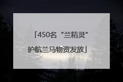 450名“兰精灵”护航兰马物资发放