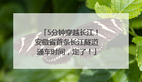 5分钟穿越长江！安徽省首条长江隧道通车时间，定了！