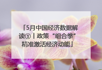 5月中国经济数据解读①丨政策“组合拳”精准激活经济动能