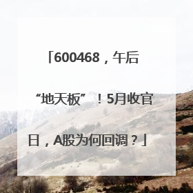 600468，午后“地天板”！5月收官日，A股为何回调？