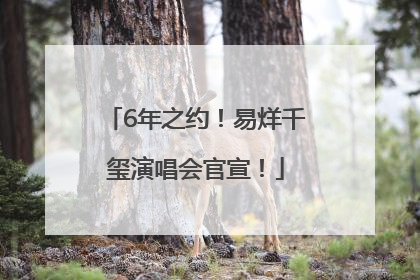 6年之约！易烊千玺演唱会官宣！