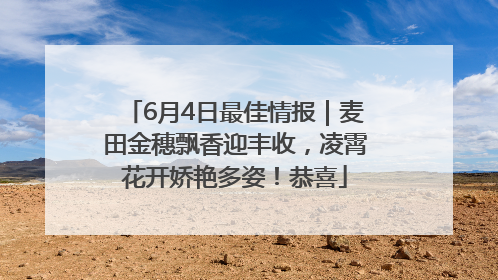 6月4日最佳情报｜麦田金穗飘香迎丰收，凌霄花开娇艳多姿！恭喜