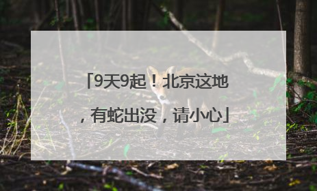 9天9起！北京这地，有蛇出没，请小心