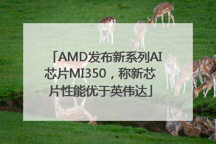 AMD发布新系列AI芯片MI350，称新芯片性能优于英伟达