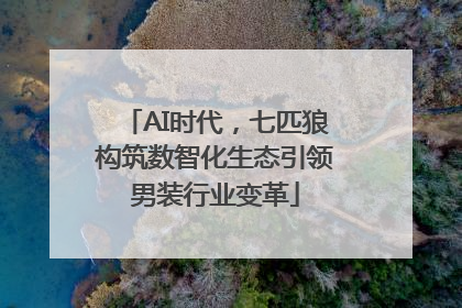 AI时代，七匹狼构筑数智化生态引领男装行业变革